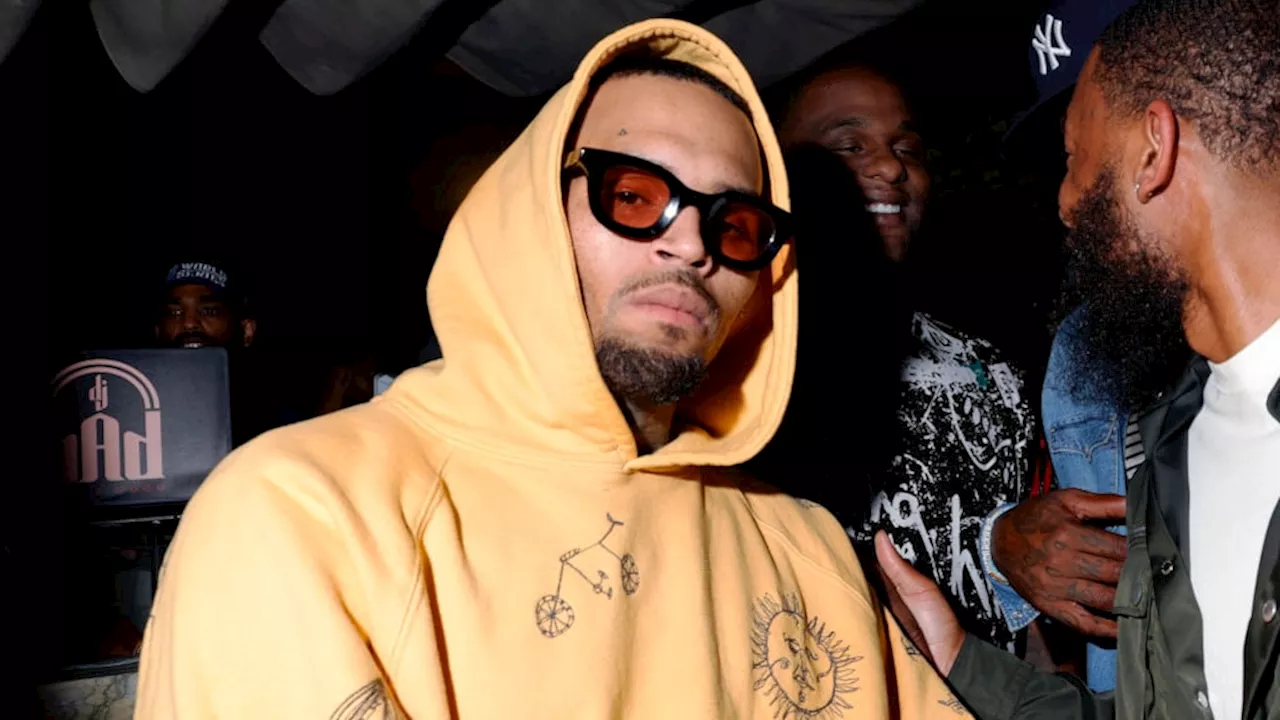 Chris Brown Schaagt Makers Documentaire A History of Violence An