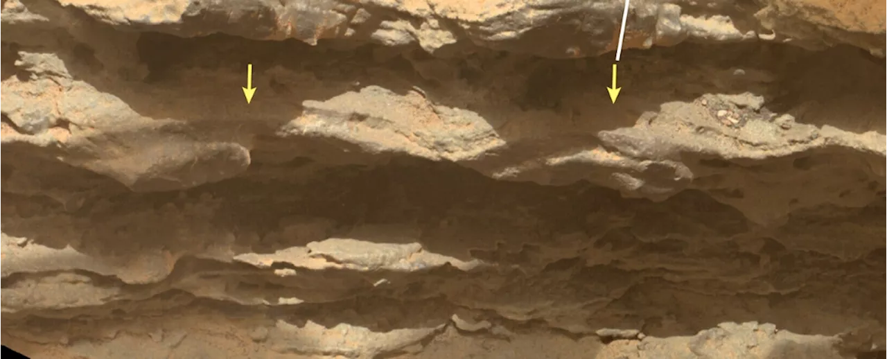 Curiosity Rover Uncovers Ancient Evidence of Liquid Water on Mars