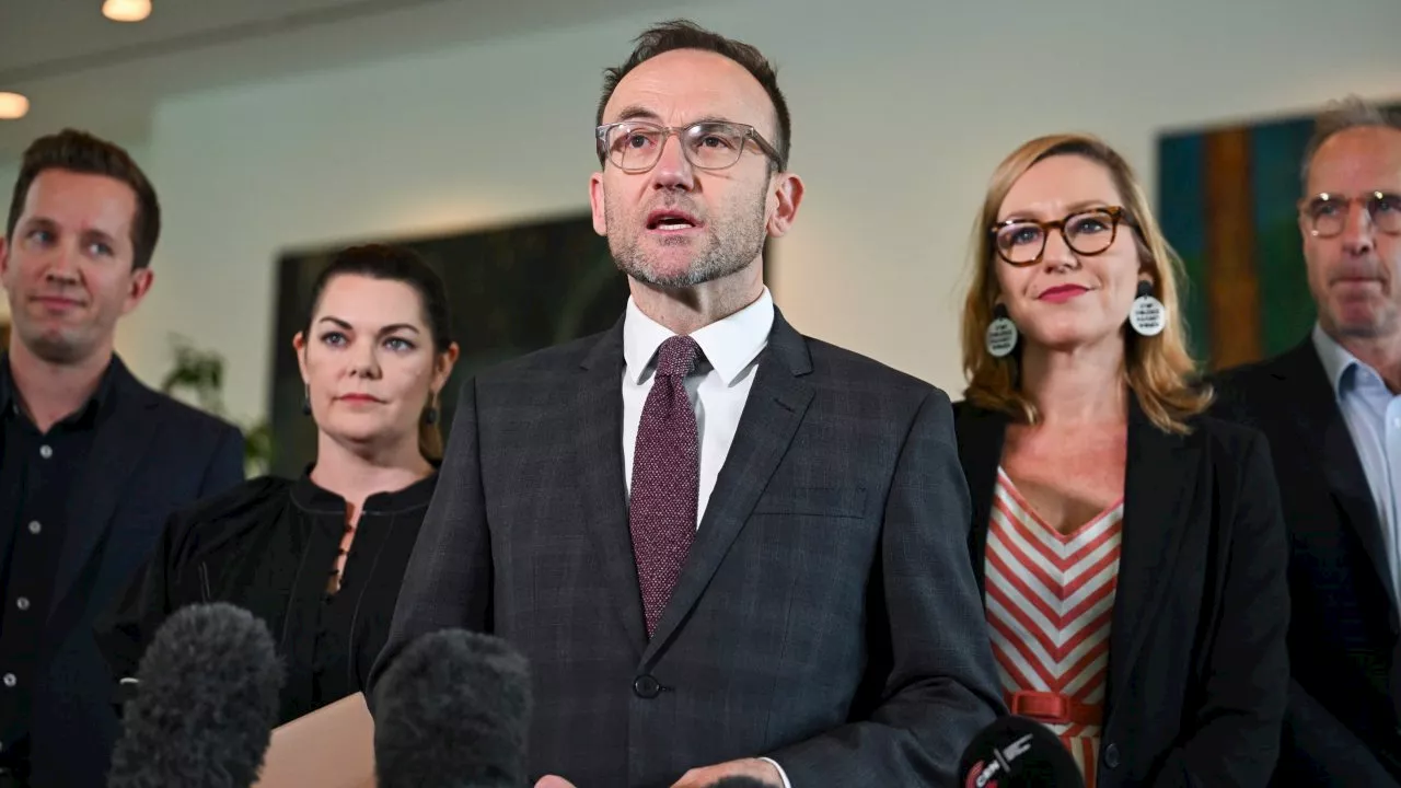 Greens Promise Free Public Education and School Fee Payments in Hung Parliament Scenario