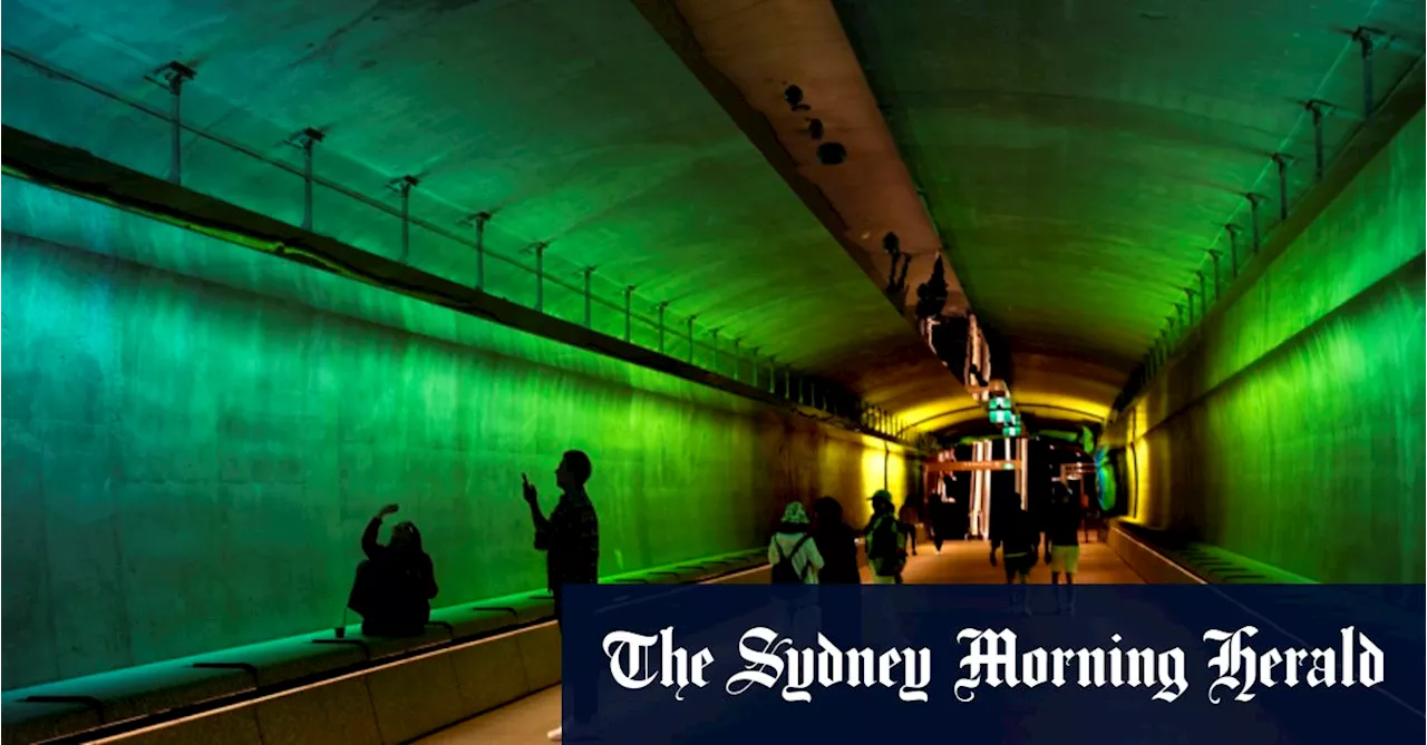 A Cinematic Journey Through the Seasons: Sydney Metro's Immersive Art Installations