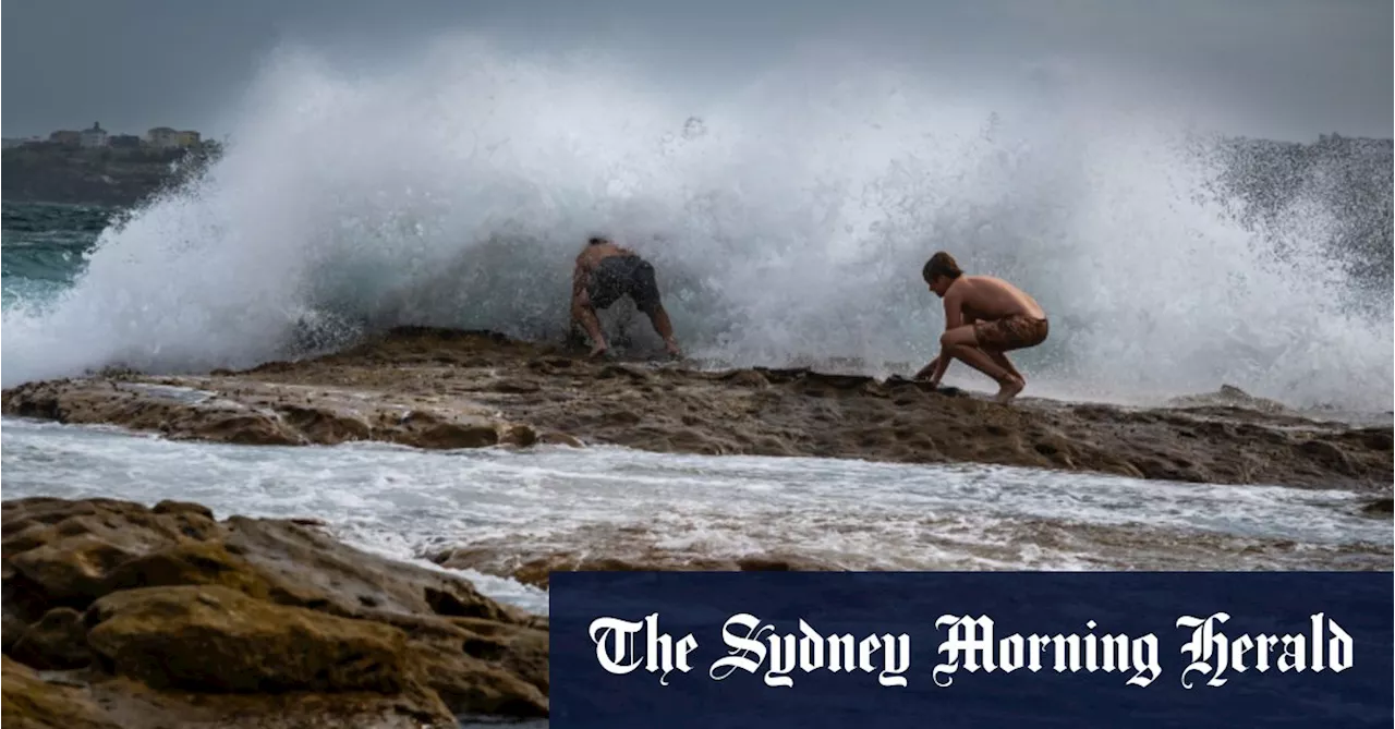 Temperatures plunge as southerly buster hits Sydney