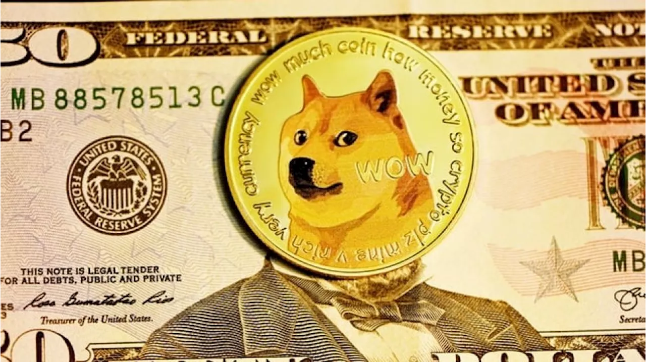 Dogecoin Melonjak 11 Persen Setelah Elon Musk Luncurkan Departemen 'DOGE'