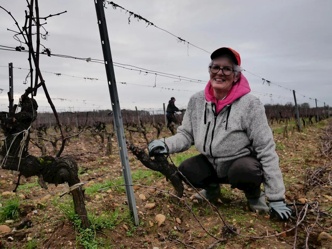 Gironde : « J’ai choisi la vigne par défaut, je suis resté pour l’amour du métier », ils retrouvent le chemin de l’emploi via le travail de la vigne