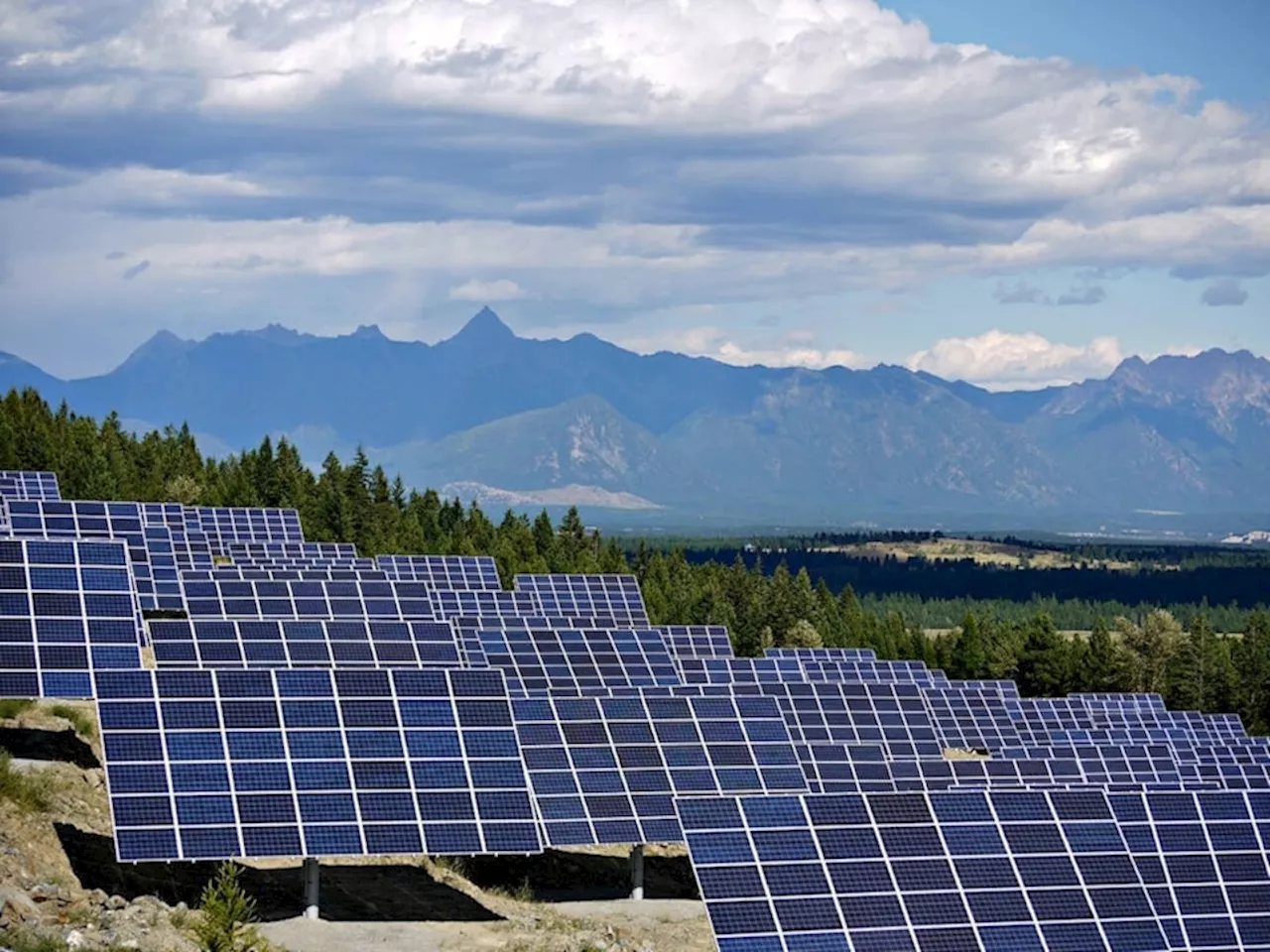 Canada Must Embrace Utility-Scale Solar to Power Green Energy Transition, Experts Urge