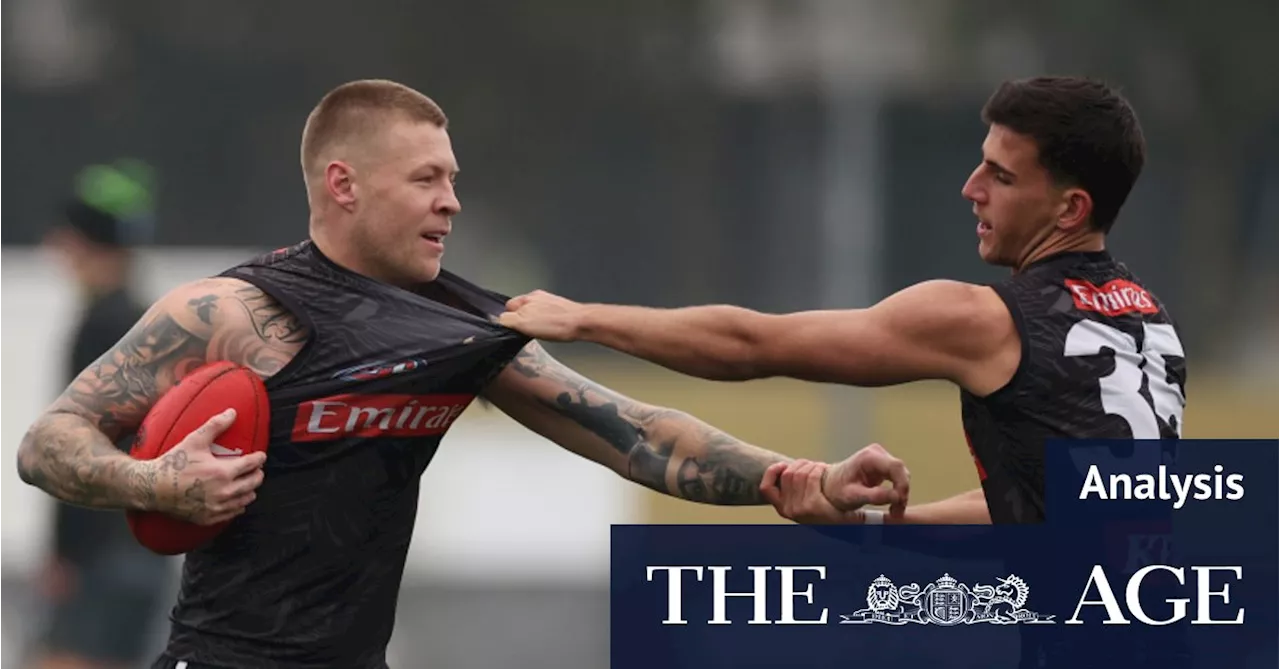 Collingwood Cautiously Manages Daicos and De Goey in January Training