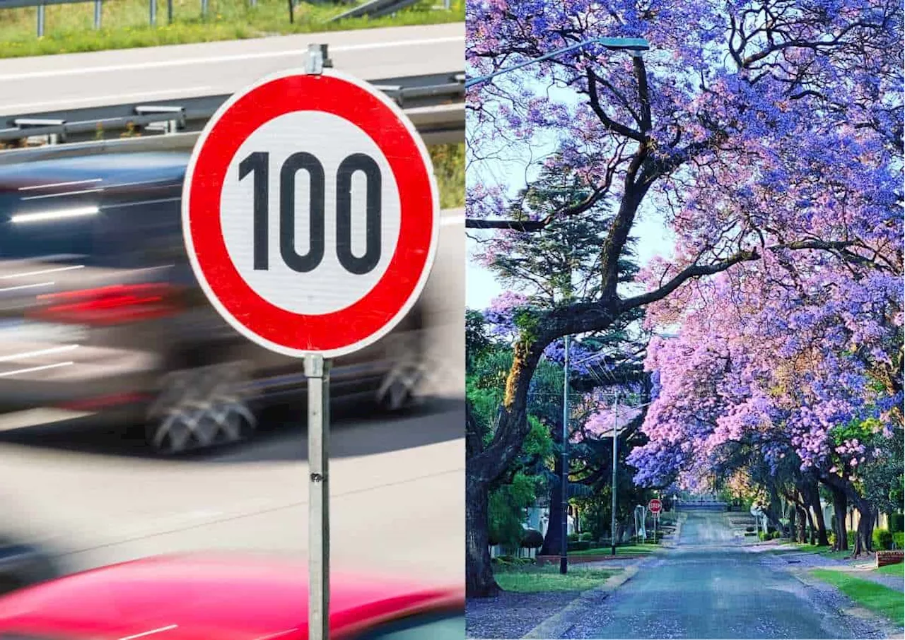 South Africa's Speed Limits: A Controversial Proposal Remains Unsettled