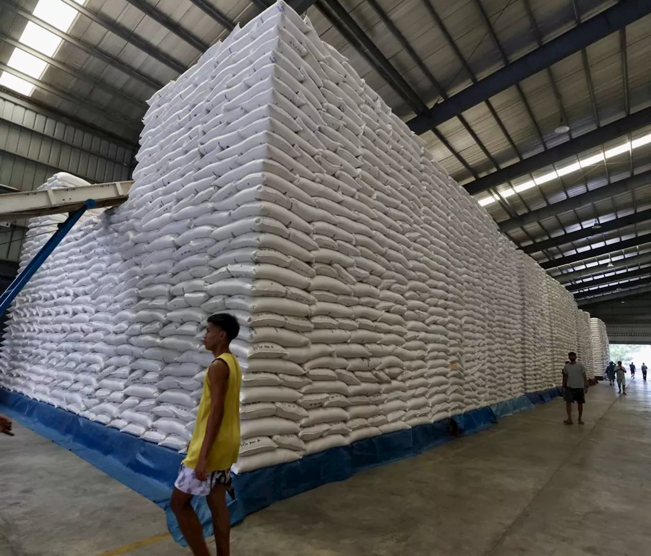 NFA Seeks Additional Funds to Increase Rice Buffer Stock