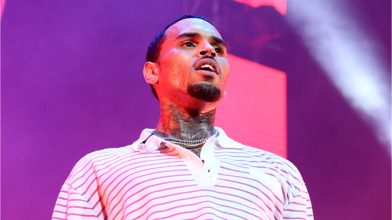 Chris Brown Sues Documentary Makers for $500 Million Over Sexual Assault Allegations