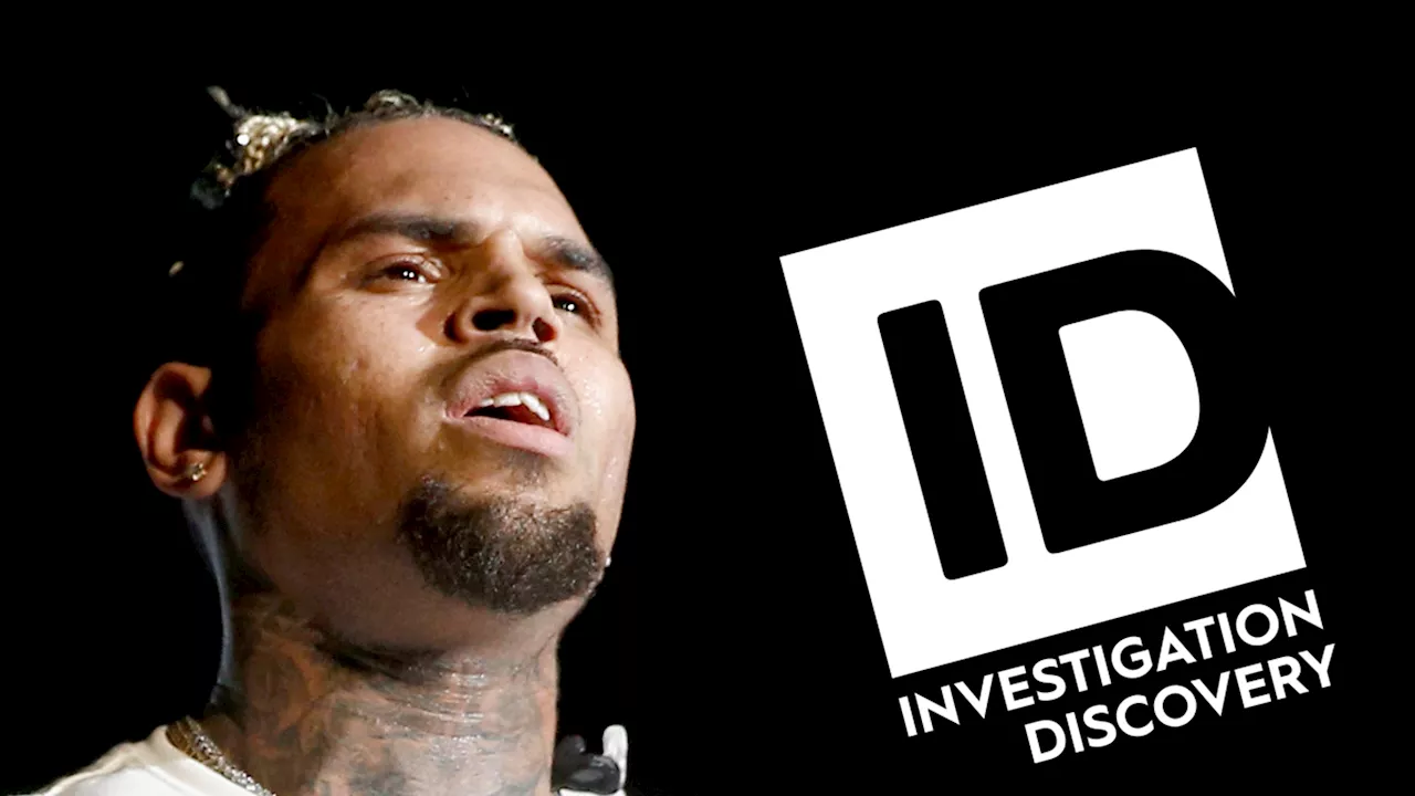 Chris Brown Sues 'Chris Brown: A History of Violence' Producers for $500 Million