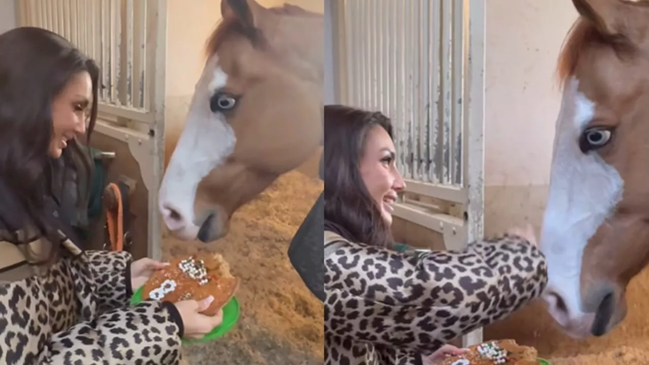 Elettra Lamborghini festeggia gli 8 anni del suo cavallo Dadi