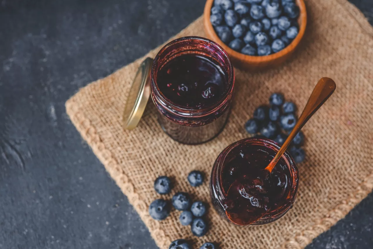 Les Baies Aronia : Un Atout Pour Un Microbiome Intestinal Équilibré