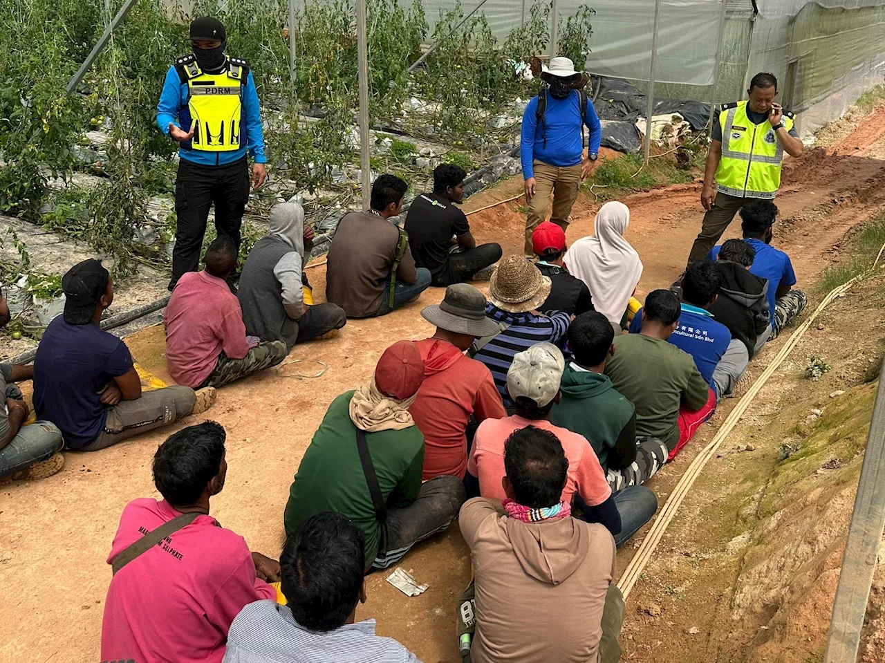 Eight Bangladeshi Men Rescued from Forced Labor on Malaysian Plantation