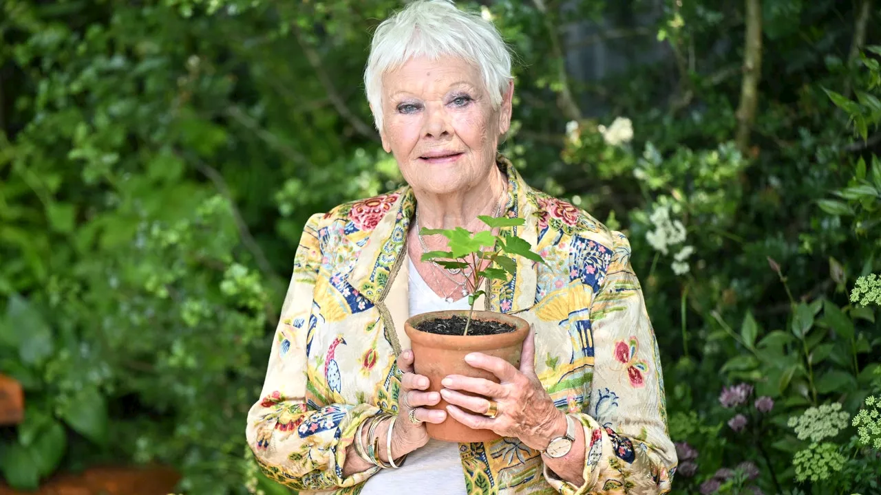 Dame Judi Dench Relies on Companions Due to Vision Loss