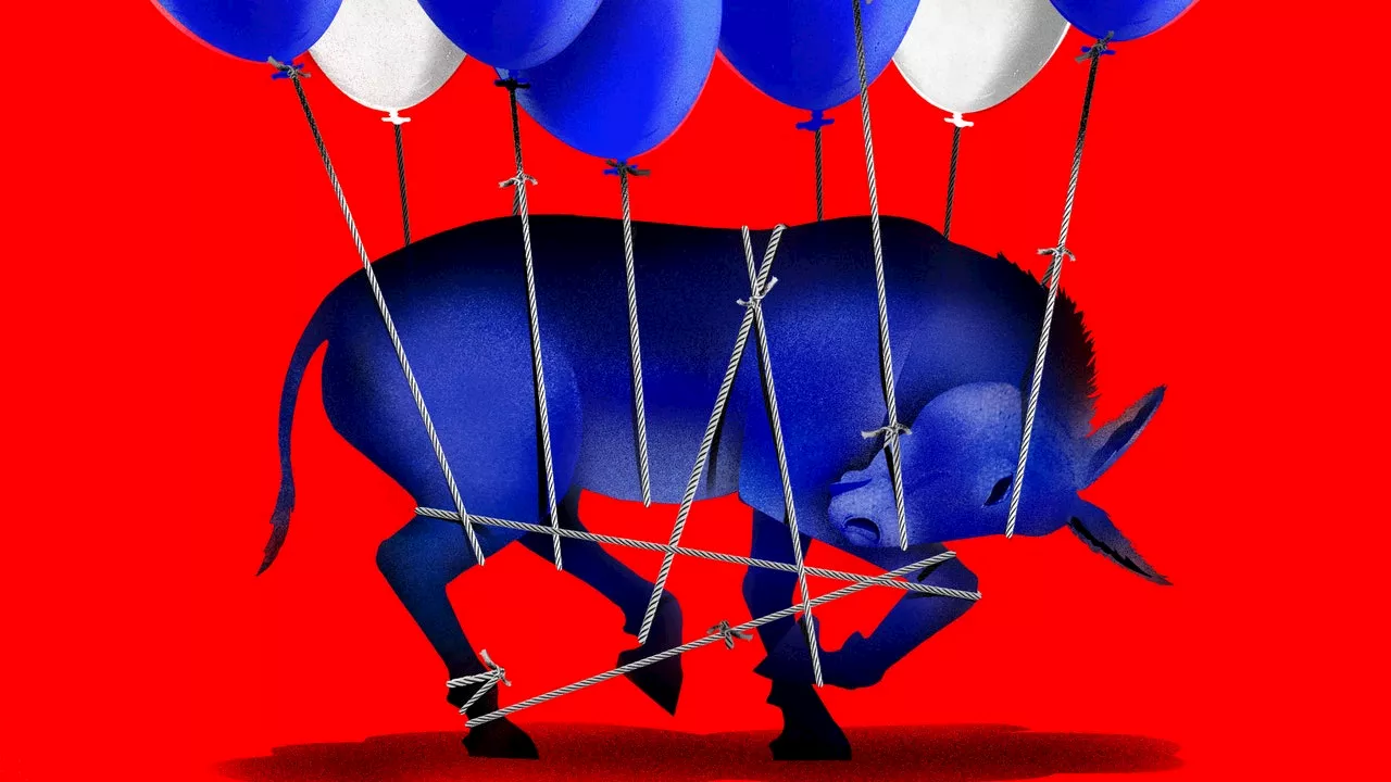 Infighting. Panic. Blame. A Special Report From Inside the Democratic Party’s Epic Hangover