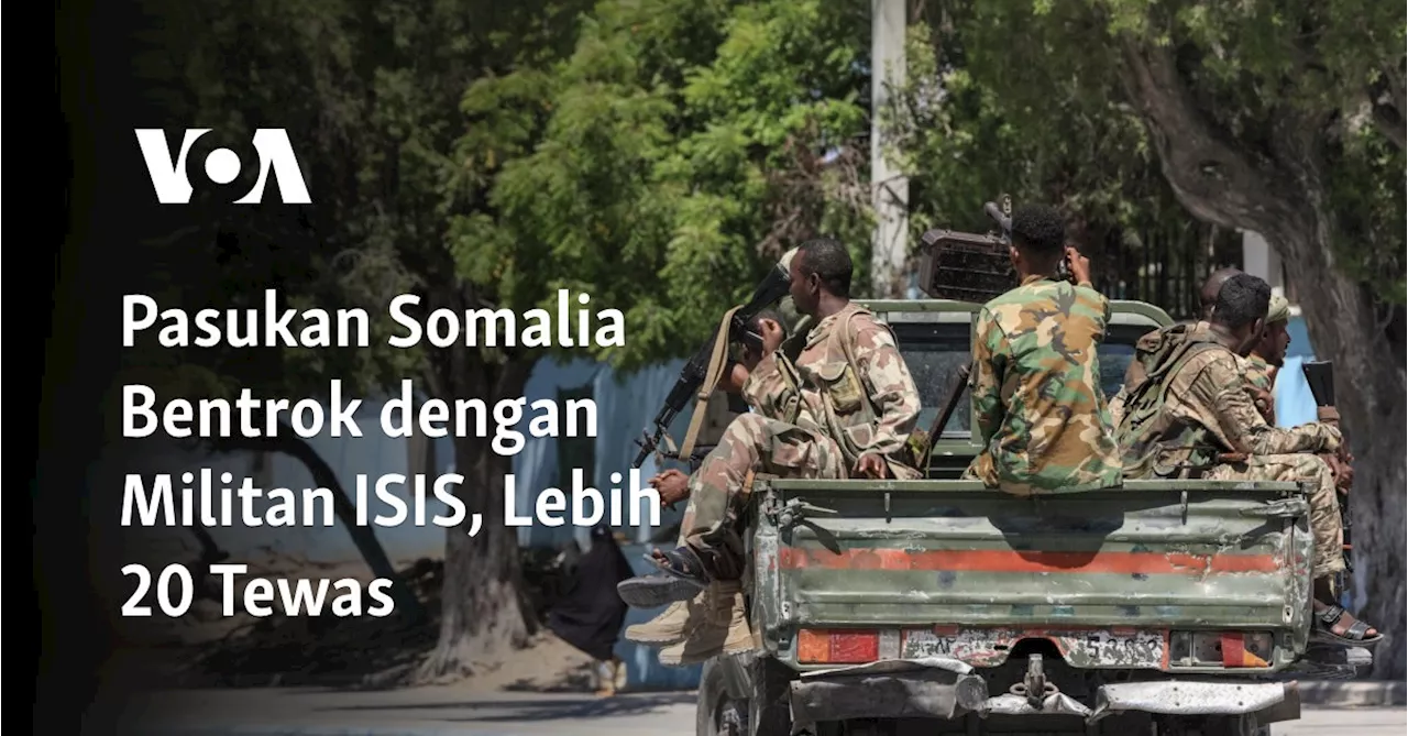 Lebih dari 20 Tewas dalam Pertempuran antara ISIS dan Tentara Puntland