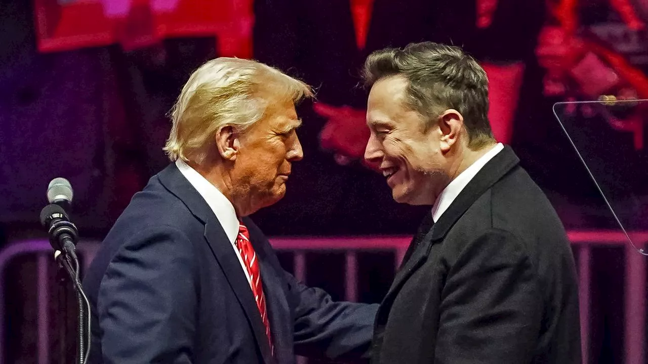 Trump Offen für Musk-Übernahme von TikTok