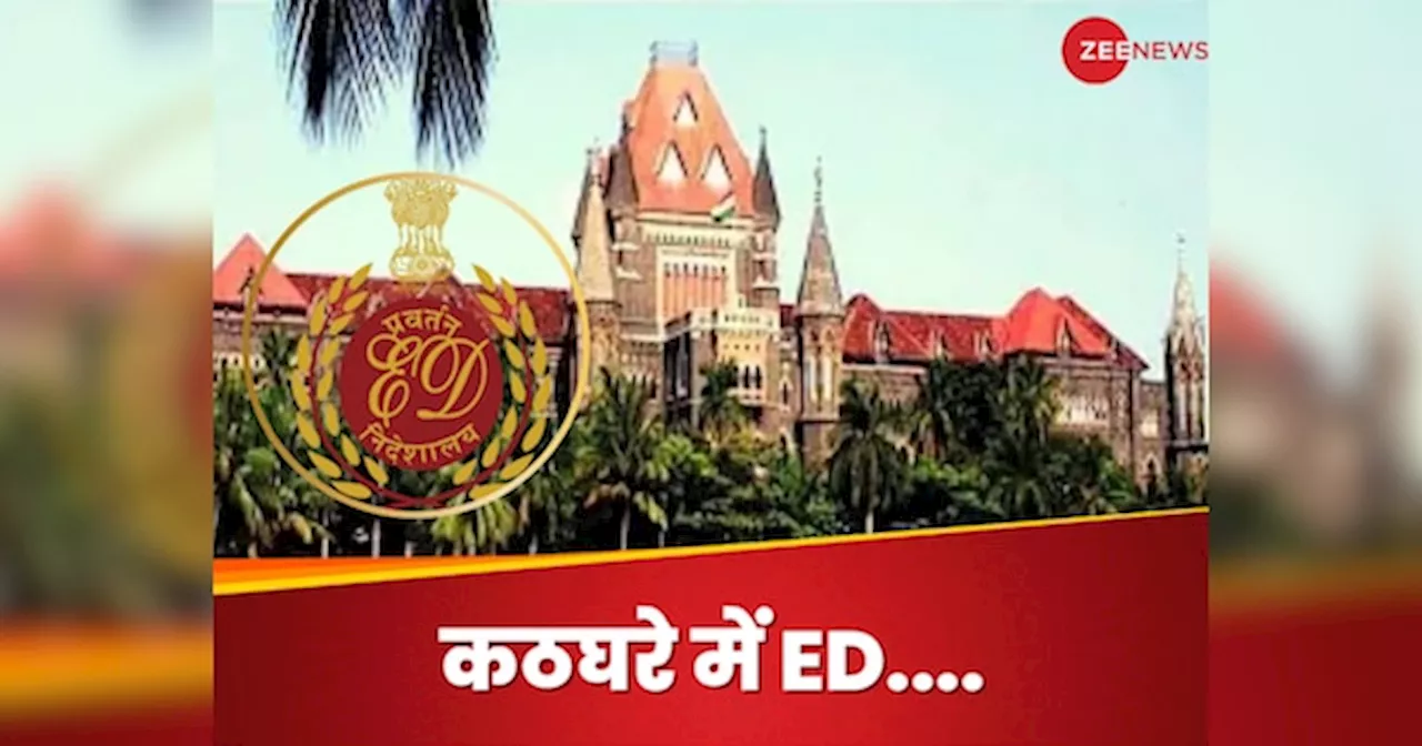 Bombay High Court: जब कोर्ट से पड़ा पाला.. बड़े-बड़ों को डरा देने वाली ED के भी फूल गए हाथ-पांव, चुकाना होगा मोटा जुर्माना