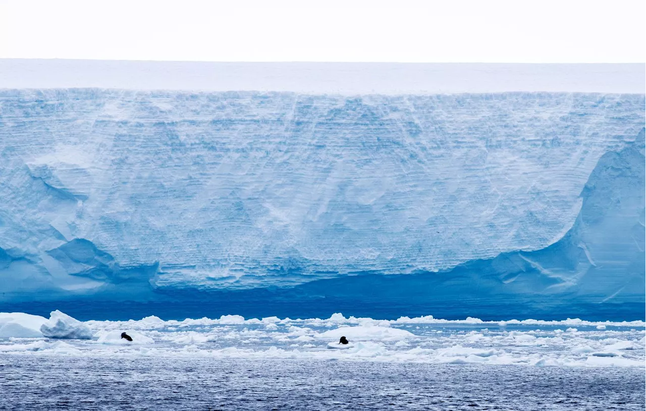 L'Iceberg Géant A23a Se Dirige Vers la Géorgie du Sud