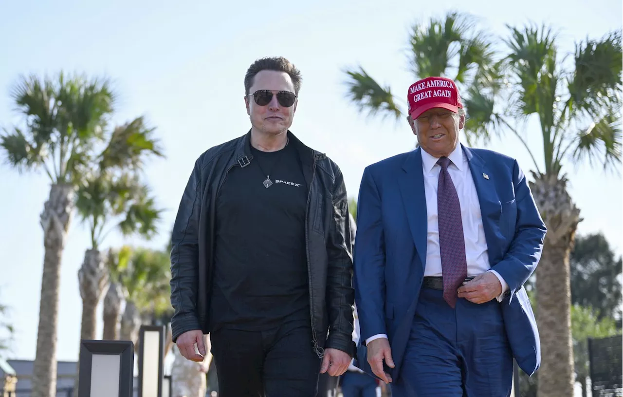 Etats-Unis : L’idylle entre Trump et Musk se fissure déjà sur l’intelligence artificielle