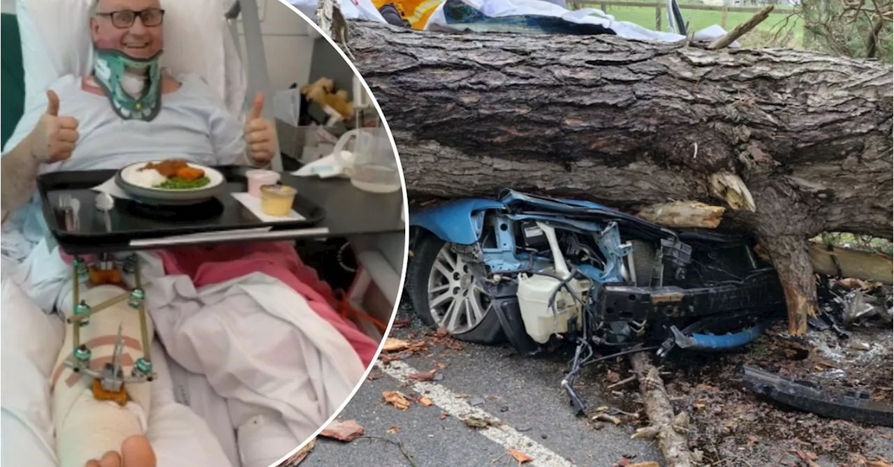 Victorian father tells of miracle survival after huge tree crushed his car on drive home