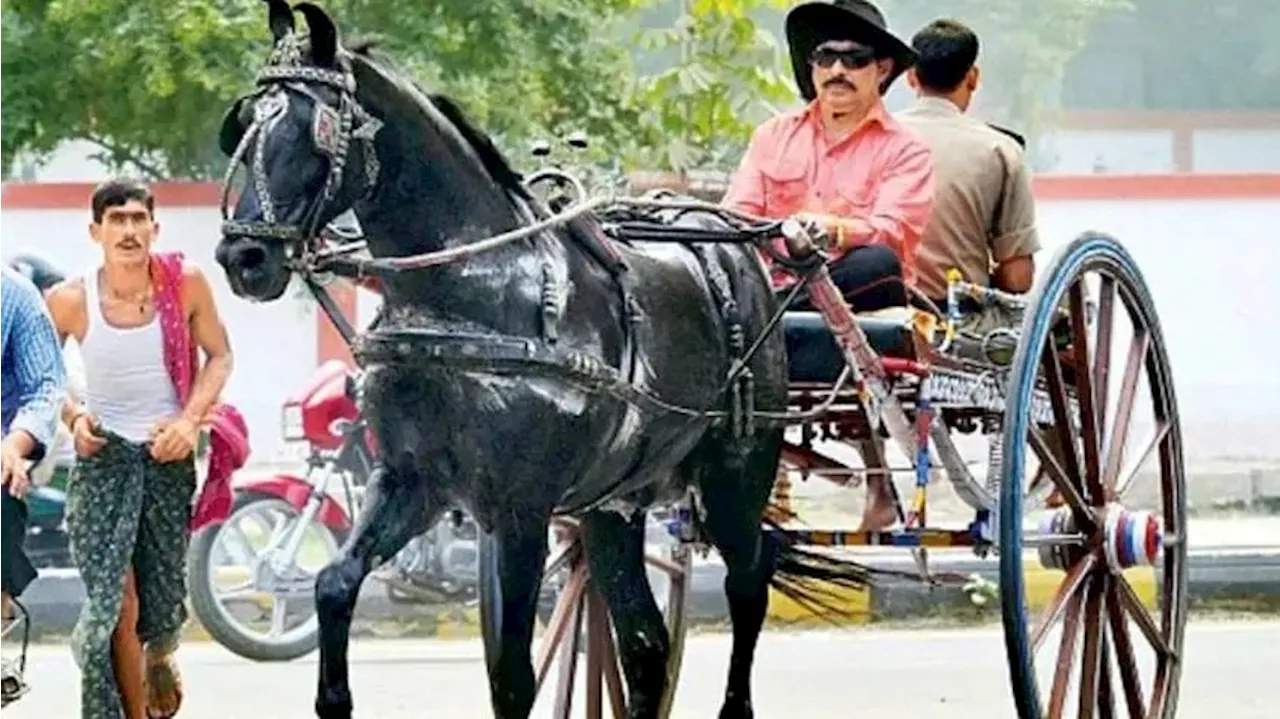 दीवारों से झांकती राइफल की नाल, तांगों का चक्रव्यूह... बाहुबली अनंत सिंह की हिस्ट्री में घनघोर फिल्मी मसाला है!