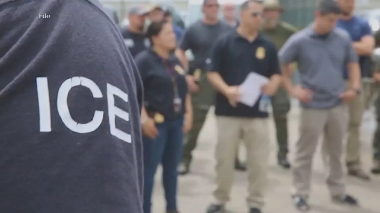 ICE agents arrest hundreds of migrants in sanctuary cities, including New York City