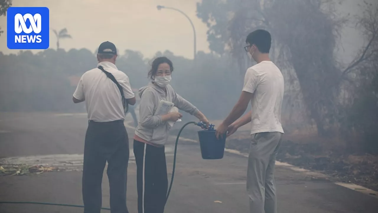 Bull Creek bushfire sees residents use buckets of water, hoses against flames