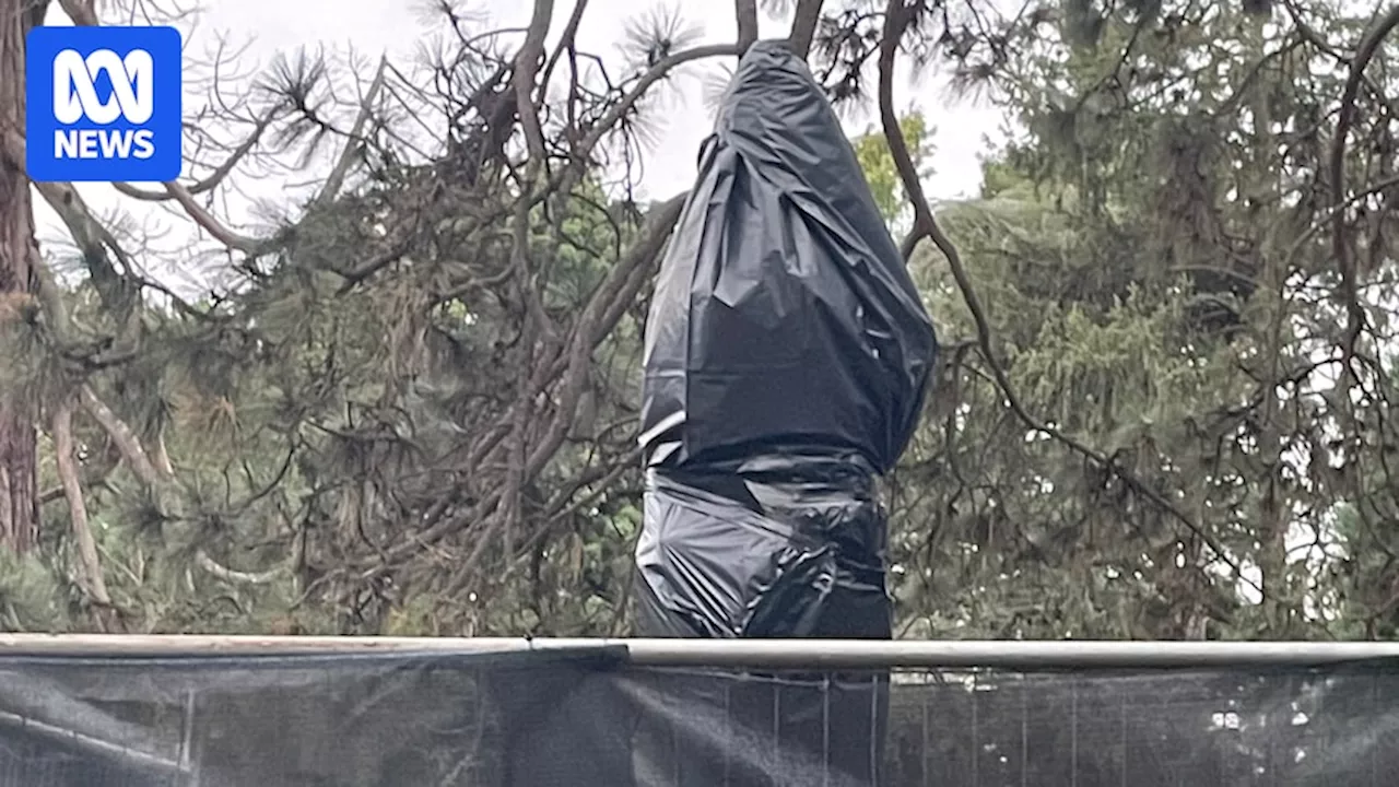 Prime ministers' busts decapitated in Ballarat Botanical Gardens in lead up to Australia Day