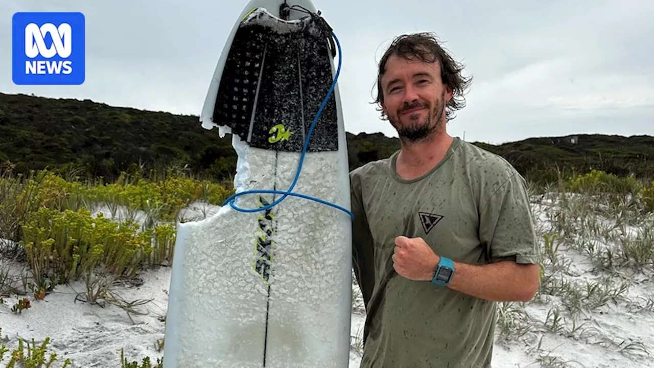 Surfer's lucky escape after 'tangle' with shark off WA's south coast