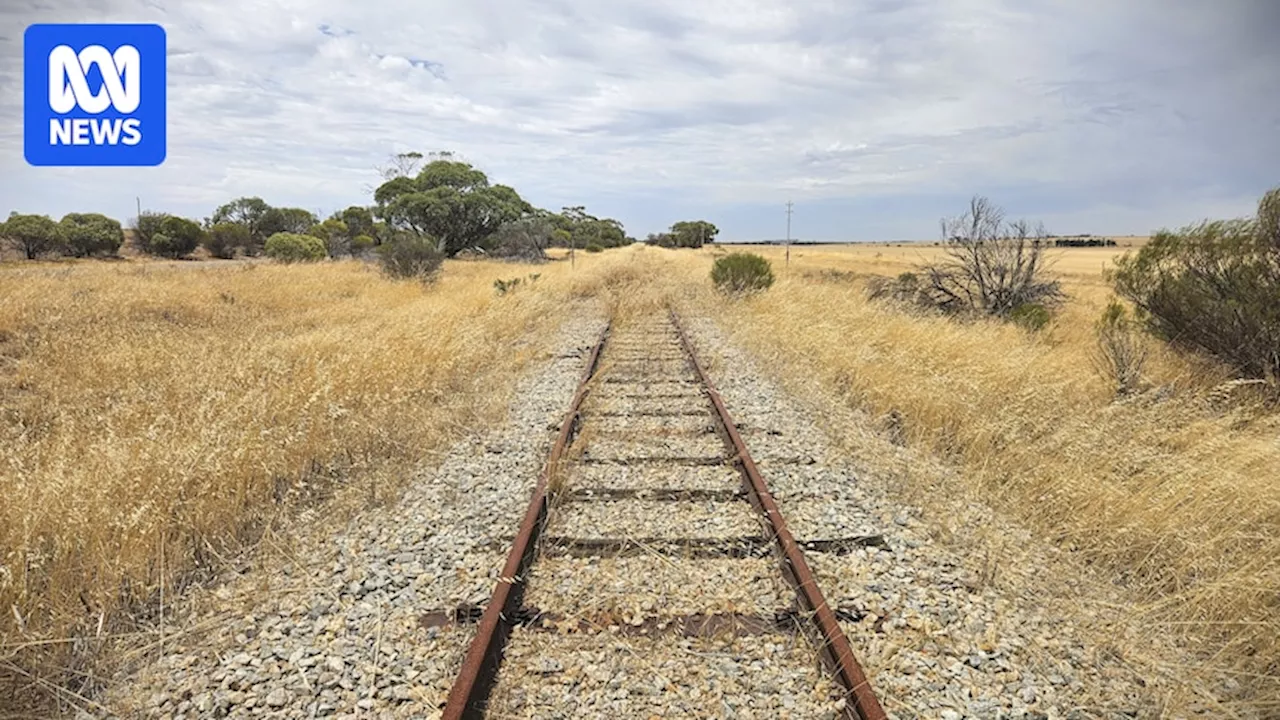 WA government flags plans to reverse privatisation of freight rail network