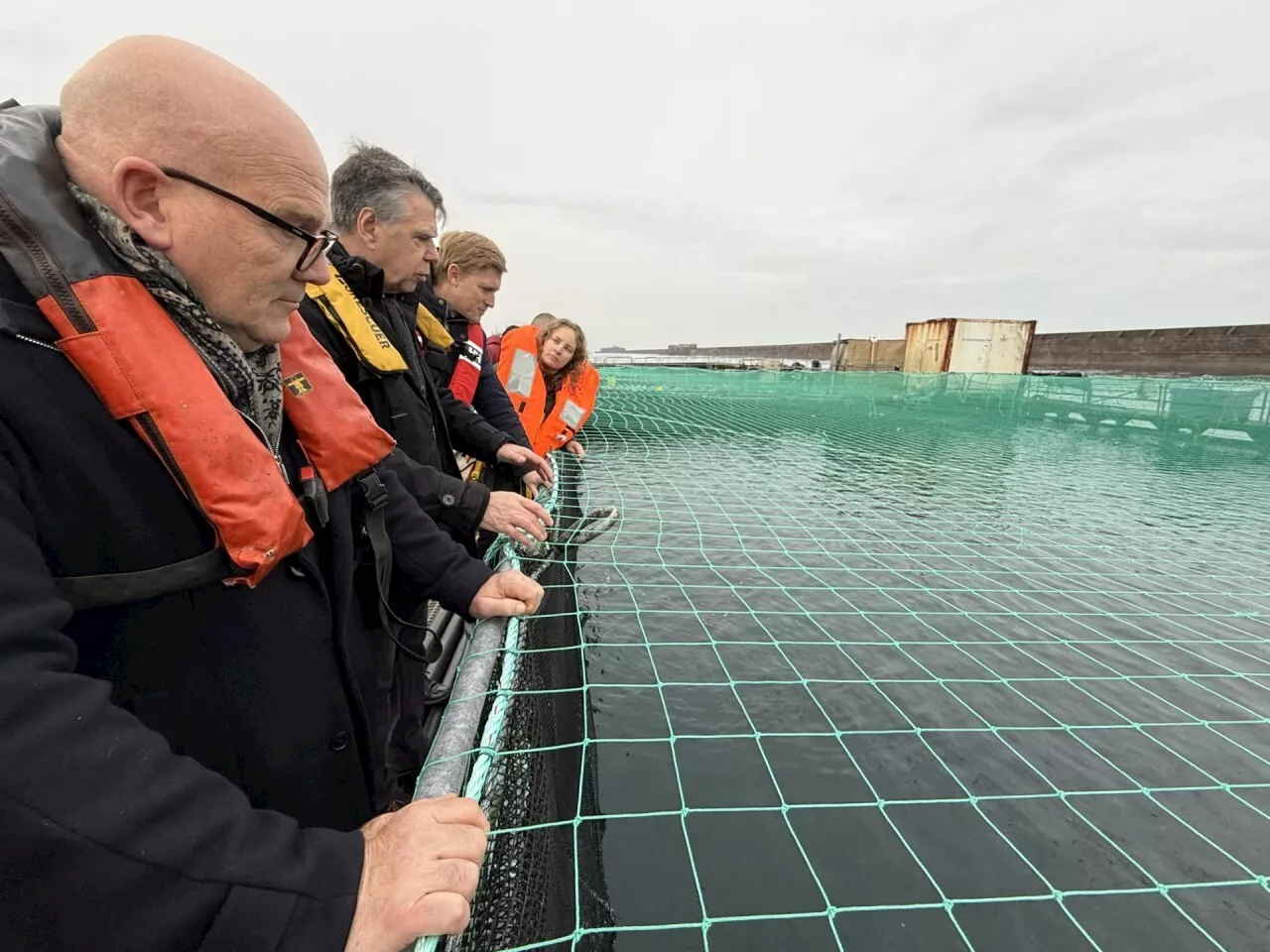 La filière aquacole, encore à la peine en France, voit plus grand dans la Manche