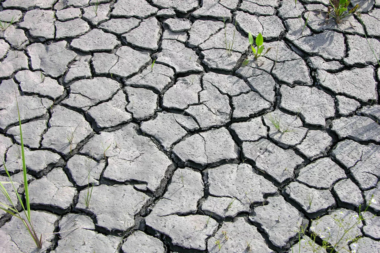 Sécheresse : l’état de catastrophe naturelle pourrait à nouveau être reconnu à Perpignan