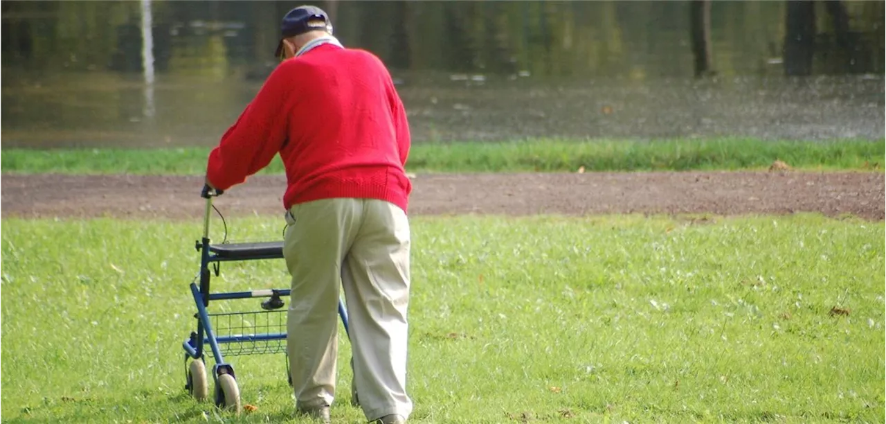 Prähabilitation vor Operationen: Bewegung und Ernährung verbessern Outcome