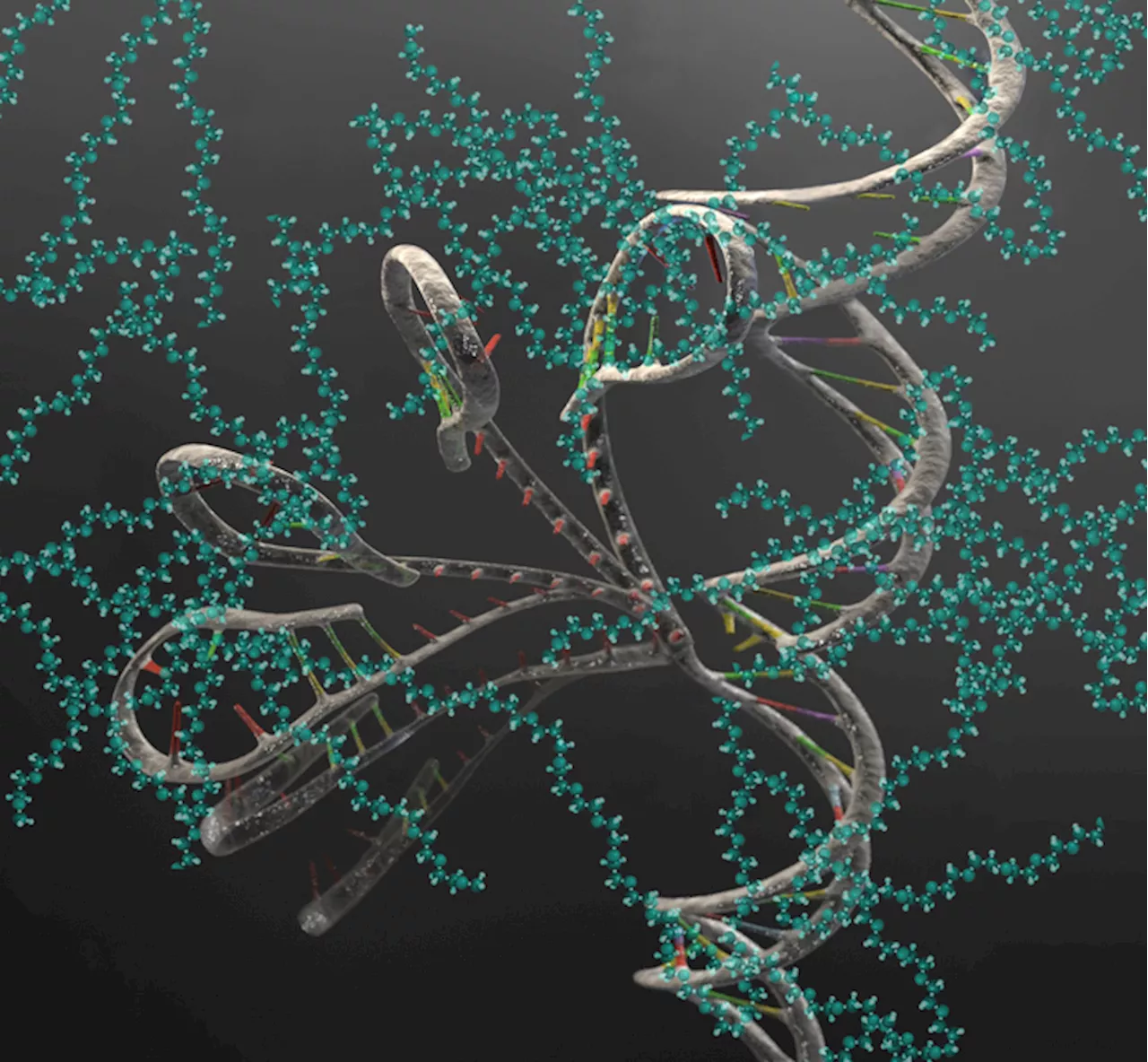 Le scottature solari dovute ai danni all'Rna, non al Dna