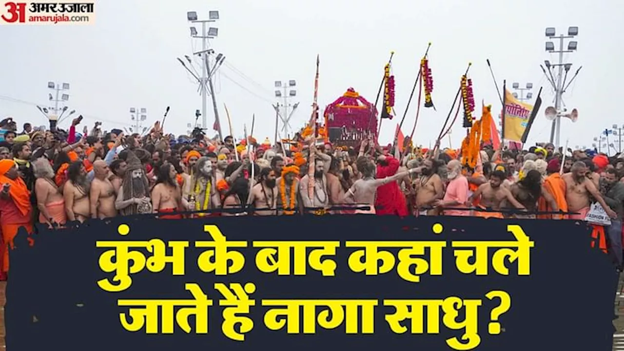 Maha Kumbh 2025: नागा साधु की रहस्यमयी दुनिया