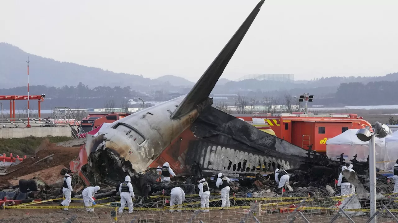 South Korea will remove concrete barriers near runways in response to air disaster, reports say