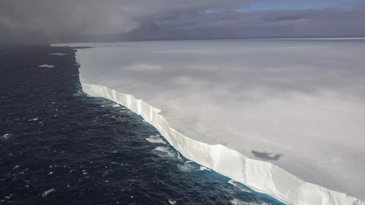 Wall of ice the size of Rhode Island heading toward penguin-packed island off Antarctica