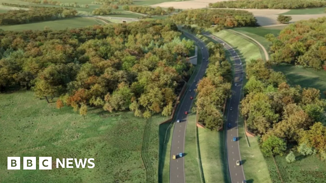 Norfolk Western Link Road Plans Withdrawn After Wildlife Concerns