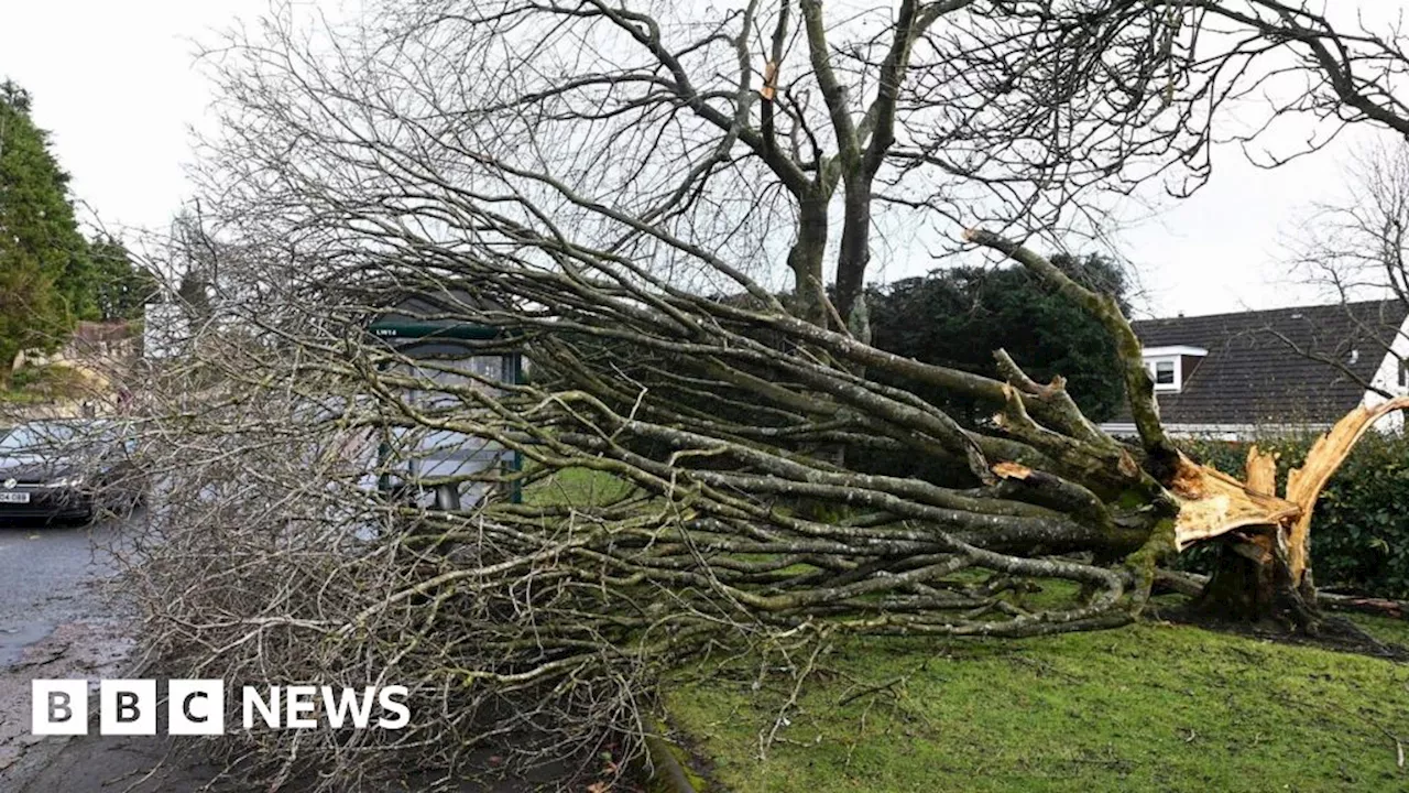 Rare red warning in Scotland ahead of Storm Éowyn