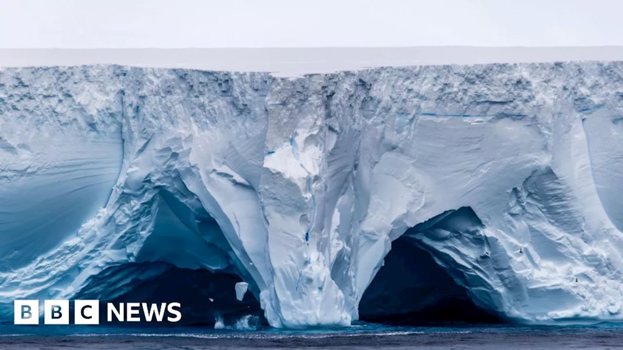 World's Largest Iceberg Heads for Remote British Island, Threatening Wildlife