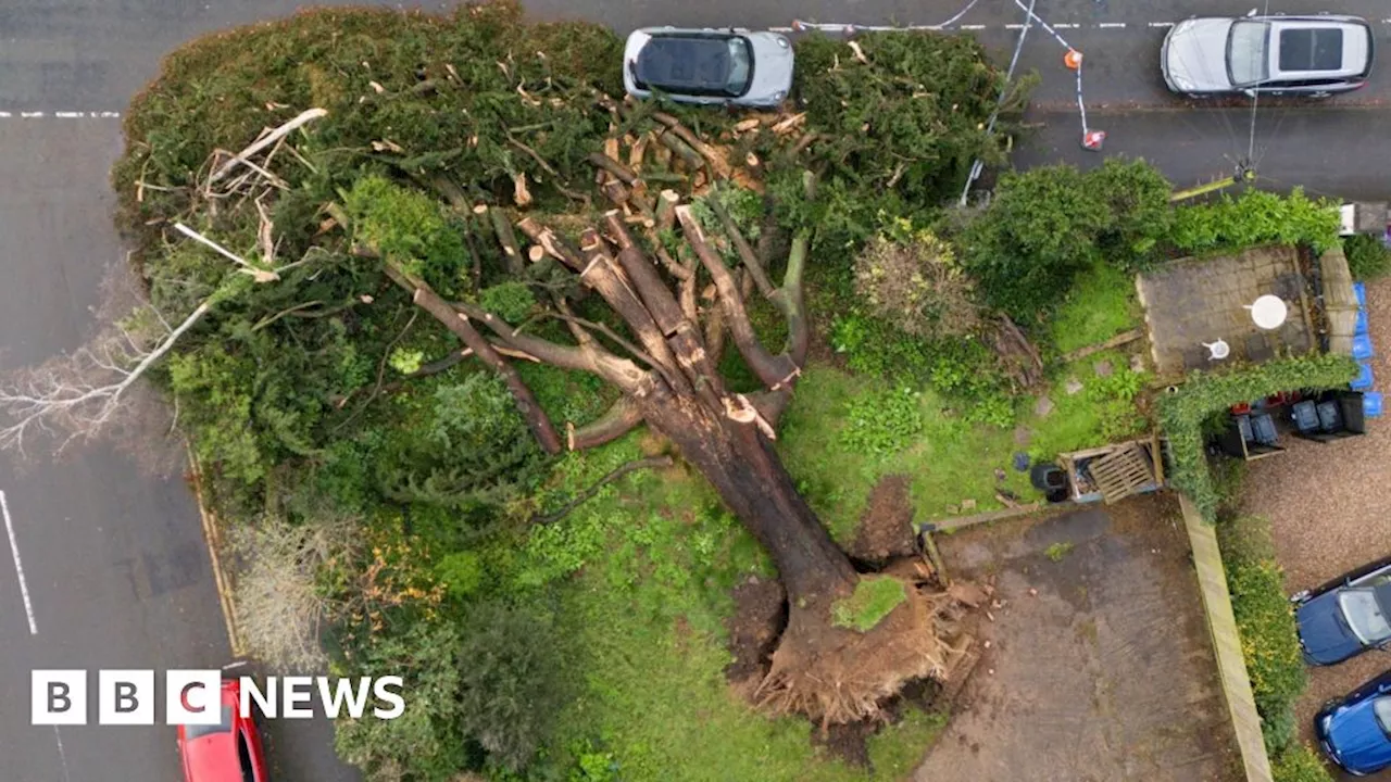 Storm Eowyn Brings Strong Winds and Travel Disruptions to West Midlands