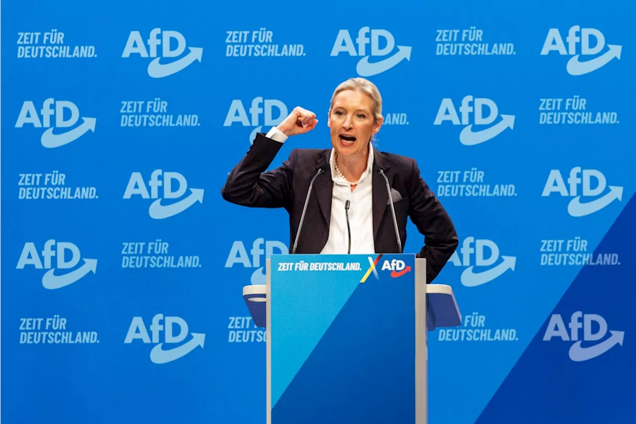 AfD-Chefin Weidel fordert nach Messer-Attacke in Aschaffenburg Ende der „Brandmauertoten“