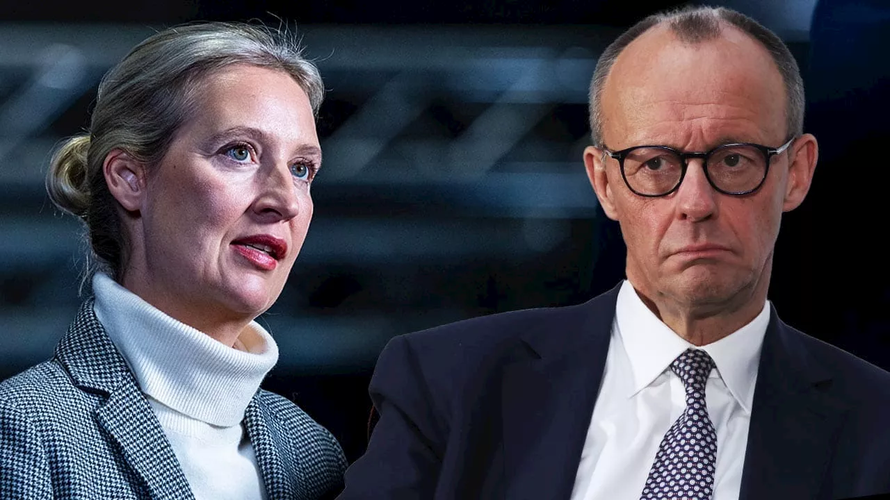 Offener Brief: Weidel bietet Merz einen schnellen Asyl-Deal an