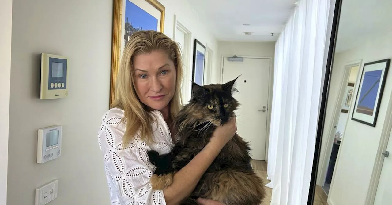 Kater Mittens fliegt dreimal zwischen Neuseeland und Australien