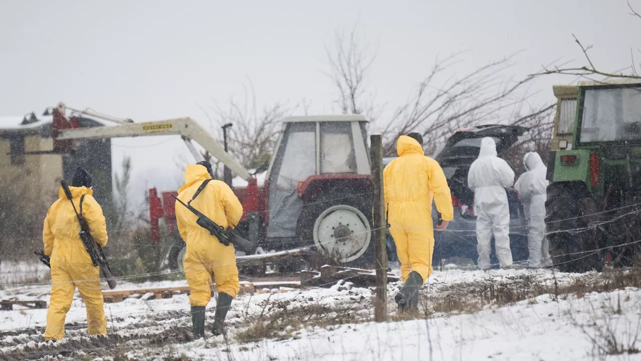 MKS-Ausbruch: Bayerische Bauern kämpfen mit Exportstopp