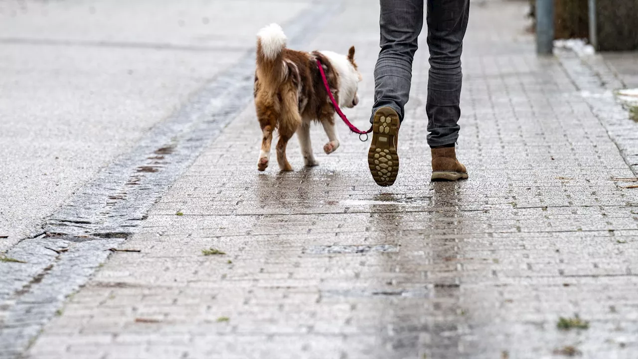 Wetter in Bayern: Glatteisgefahr durch gefrierenden Regen