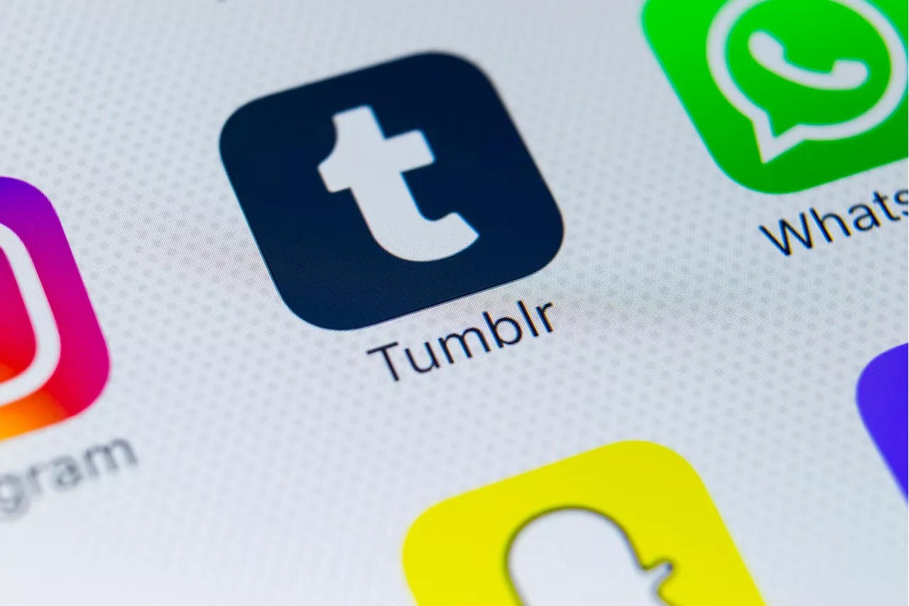 Alors que l'avenir de TikTok est incertain, Tumblr TV pointe le bout de son nez