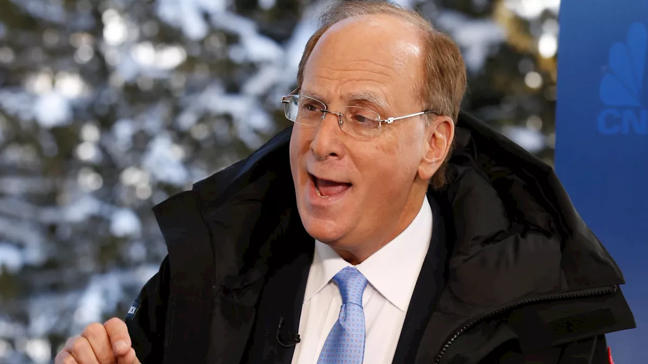 BlackRock's Fink sees potential risks and says the bond market will tell us where we are going