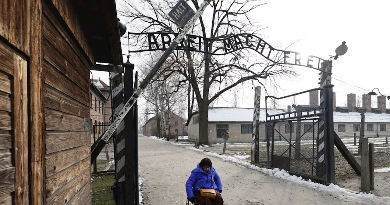 Auschwitz survivors recall suffering ahead of 80th anniversary of camp's liberation