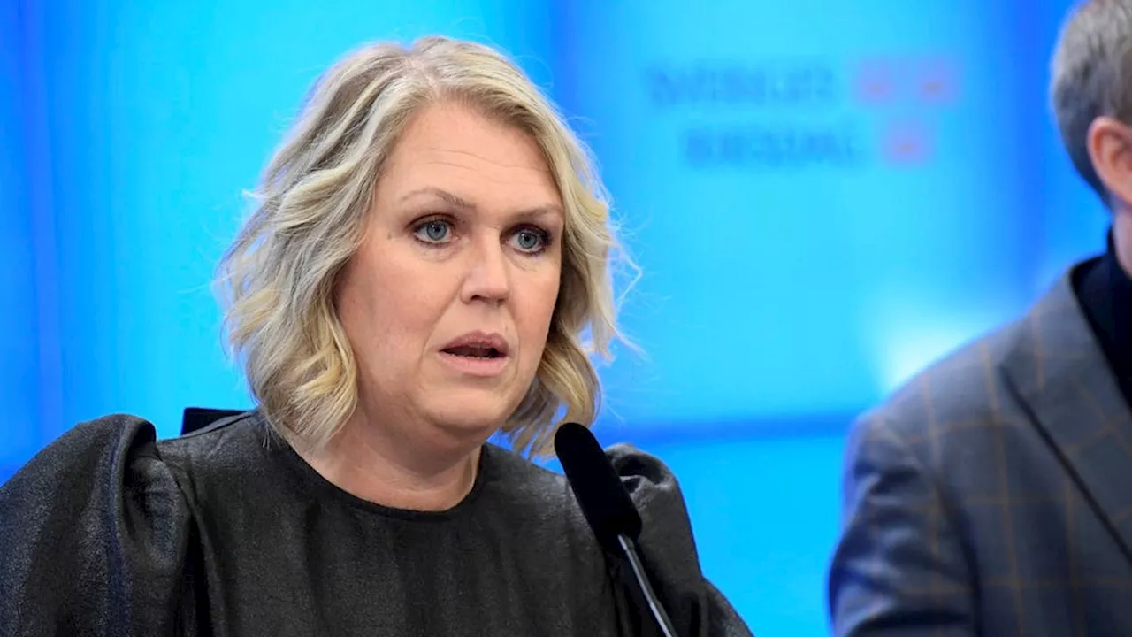 Lena Hallengren (S) anklagar regeringen för ungerska metoder